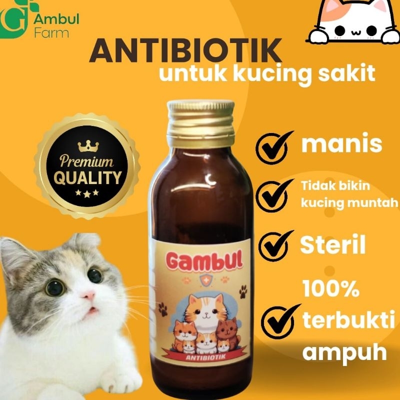 Antibiotik Untuk kucing Membunuh Bakteri Dalam Tubuh Kucing