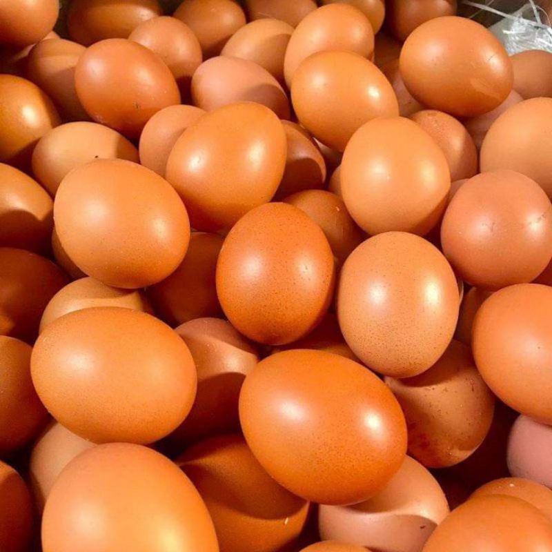 

Telur Ayam Super 1 Kg isi 14-16 Pcs