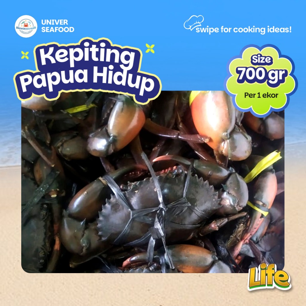 

Kepiting Papua Hidup Jantan Size 700gr/ekor