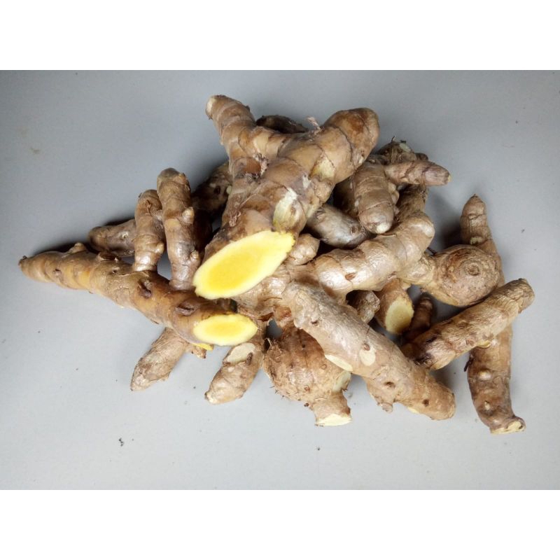 

Temu giring segar 1kg Curcuma heyneana