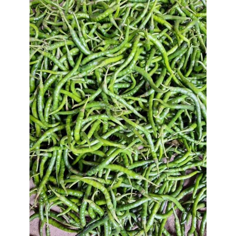 

CABE / CABAI KERITING HIJAU 500gr MURAH