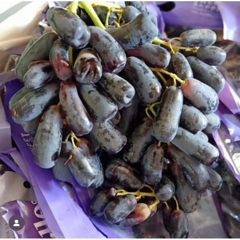 

Anggur Sweet Sapphire Australia – Manis, Renyah, dan Segar