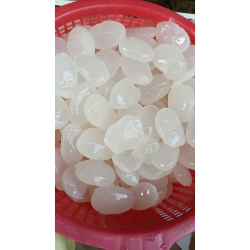 

Kolang-kaling Super murah