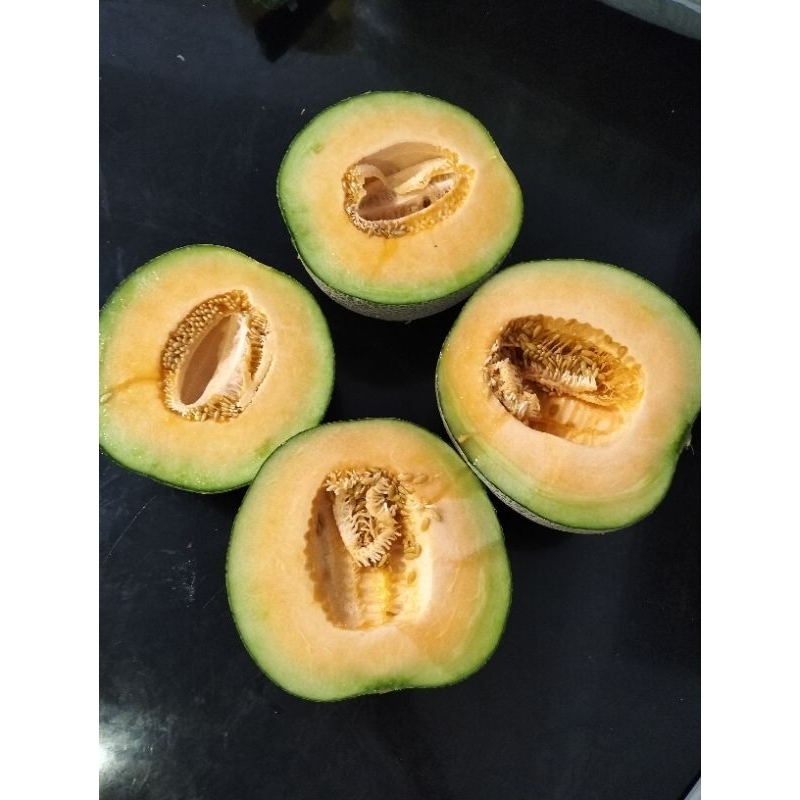 melon orange