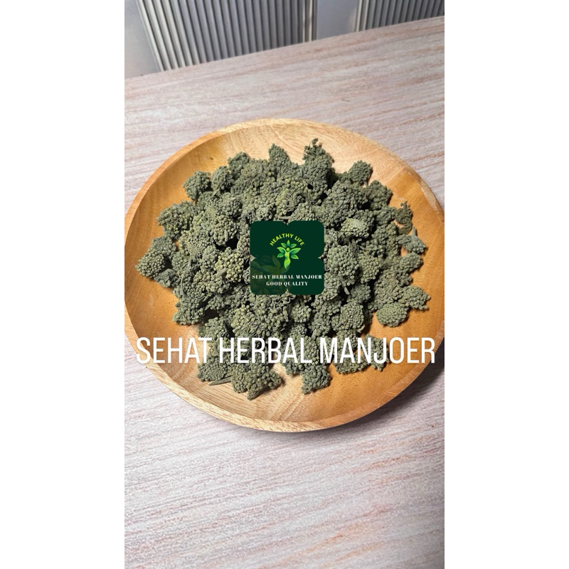 

SAN TIAN QI HUA TEH BUNGA PANAX NOTO GINSENG FLOWER TEA 50gr - 100gr
