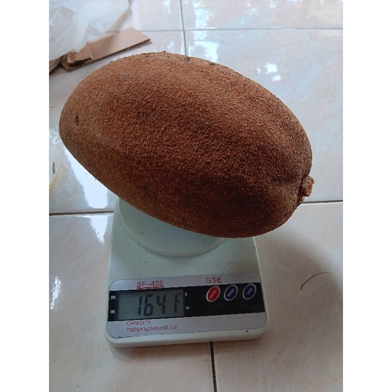 Buah Mamey Sapote magana