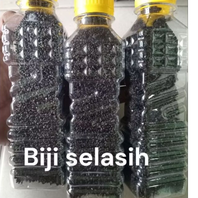 

selasih/biji selasih
