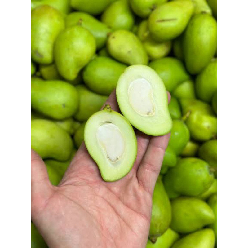 

Buah Mangga Muda Rujak | Mangga Belah Biji Fresh 1kg