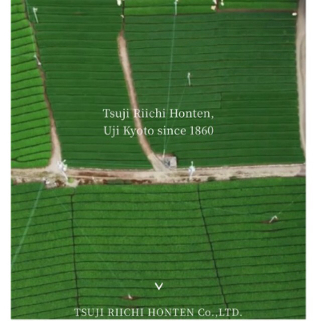 

RB Tsujirihei Honten Uji Matcha Powder READY