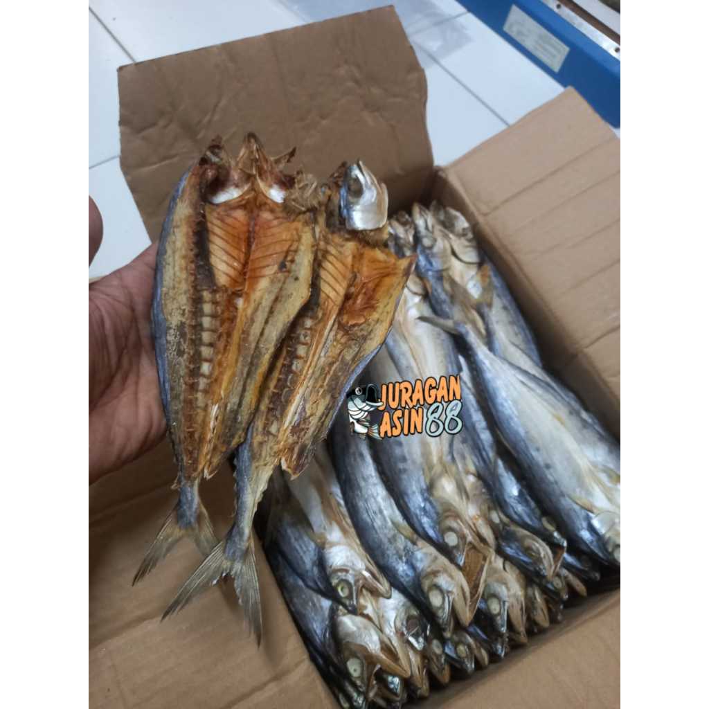 

Ikan Asin Talang Belah/ikan asin uwais/ikan asin talang-talang belah/ika uwais belah murah