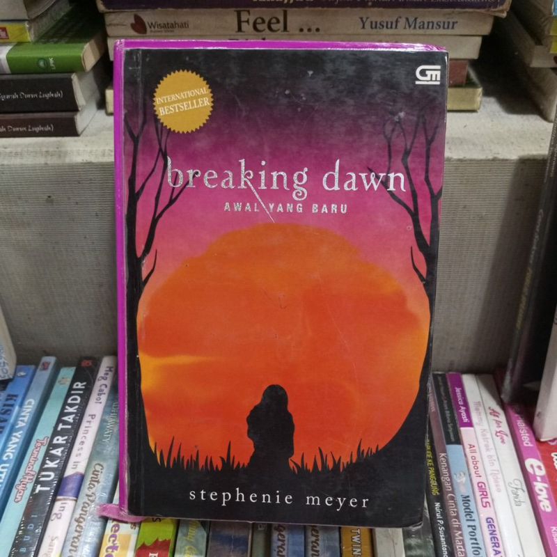 Breaking Dawn Stephanie Meyer