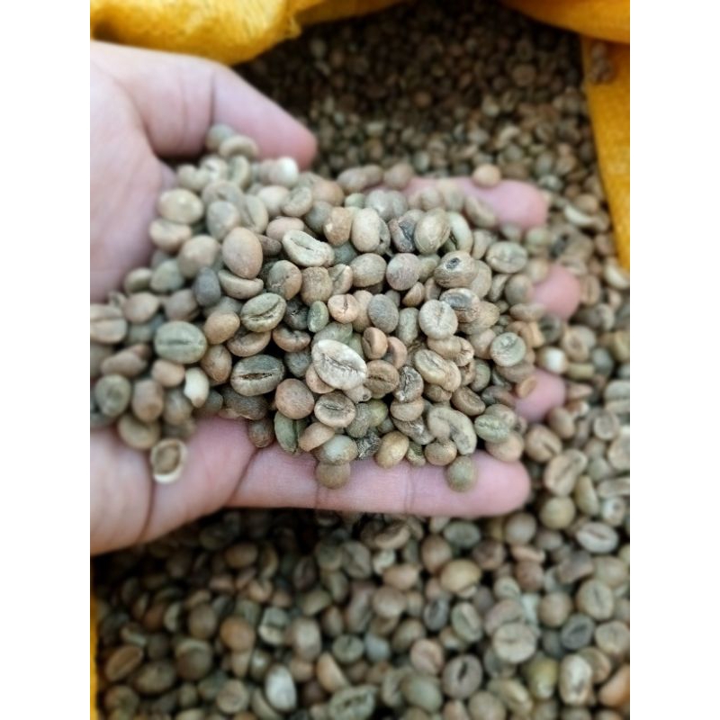 GREEN BEAN KOPI ROBUSTA TORAJA MAMASA GRADE 2 - 1 KG (BIJI KOPI ROBUSTA MENTAH)