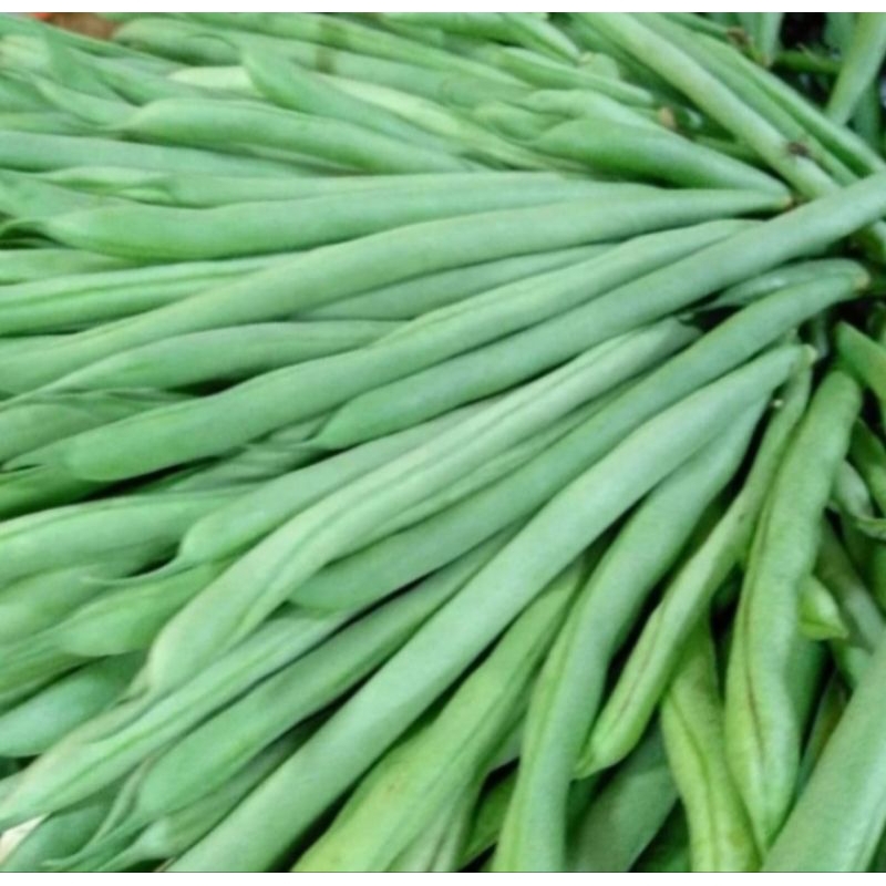 

Buncis khusus bandung 5000-18000/kg