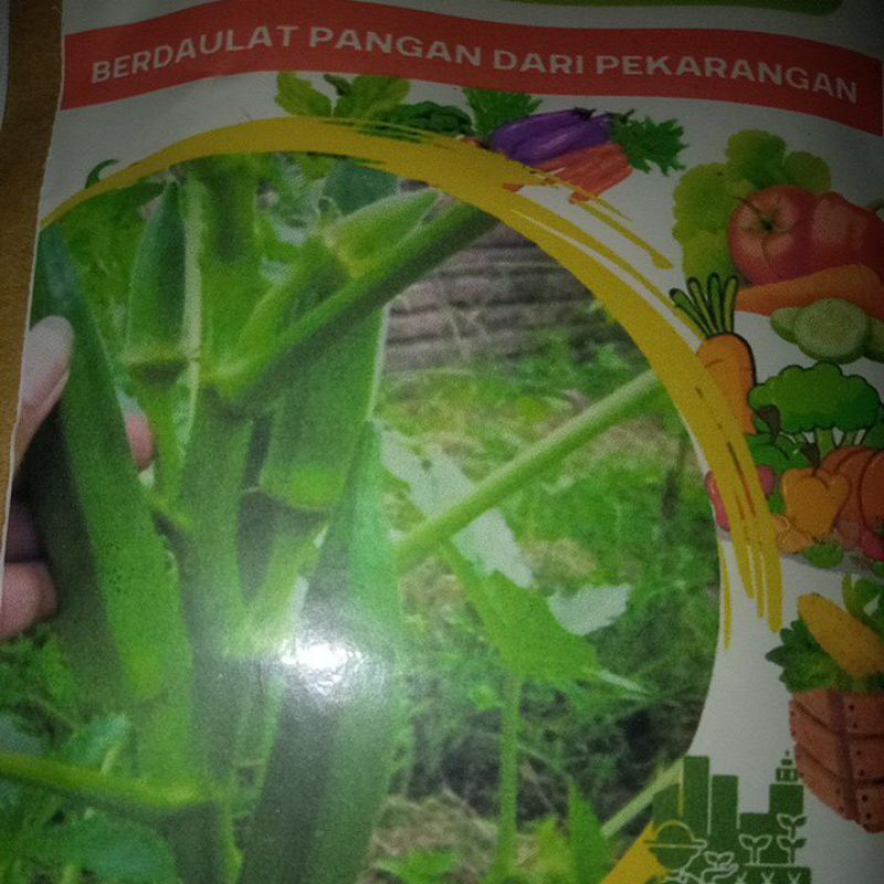 Benih Okra Hijau
