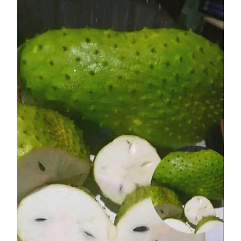 

READY BUAH SIRSAK PER BUAH BERAT 700-800 GRM