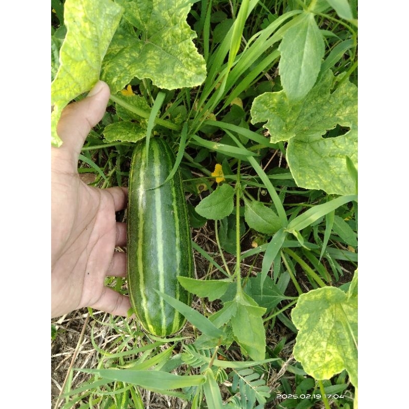 

Krai / blungko 1 KG