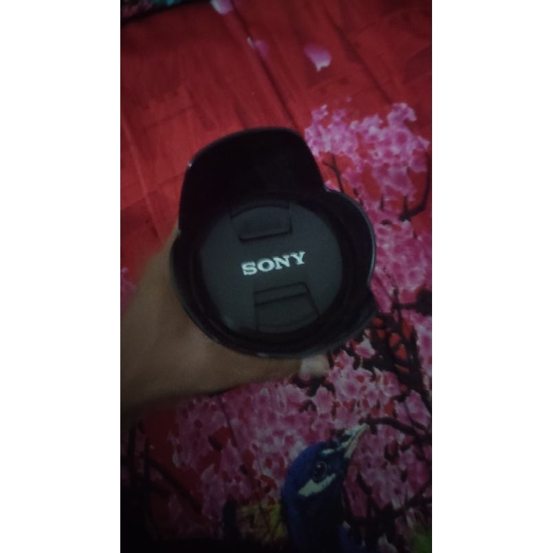 LENSA SONY 18-105 F4