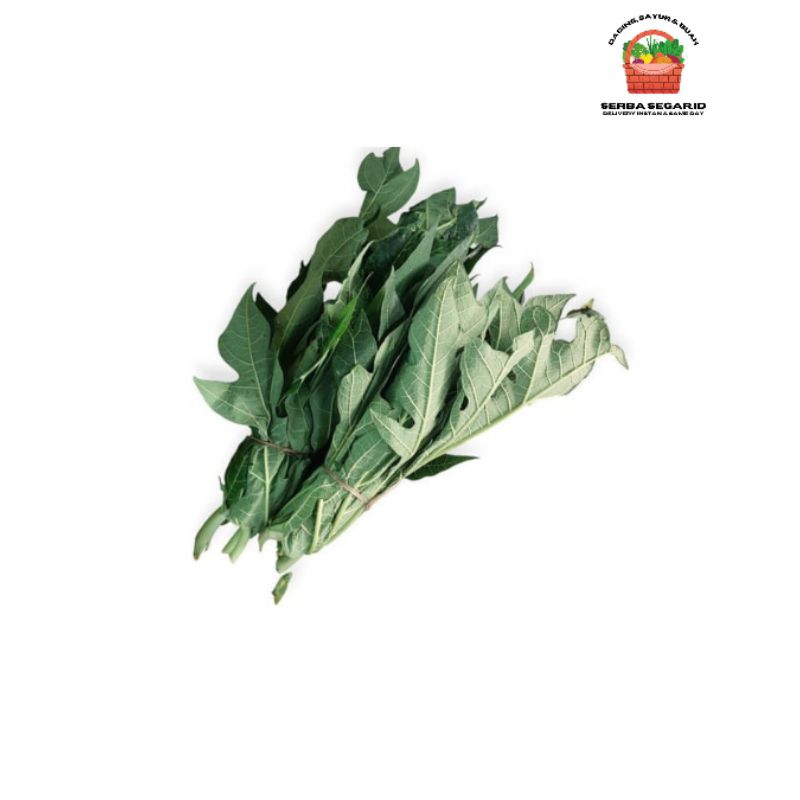 

Daun Pepaya 1 Ikat