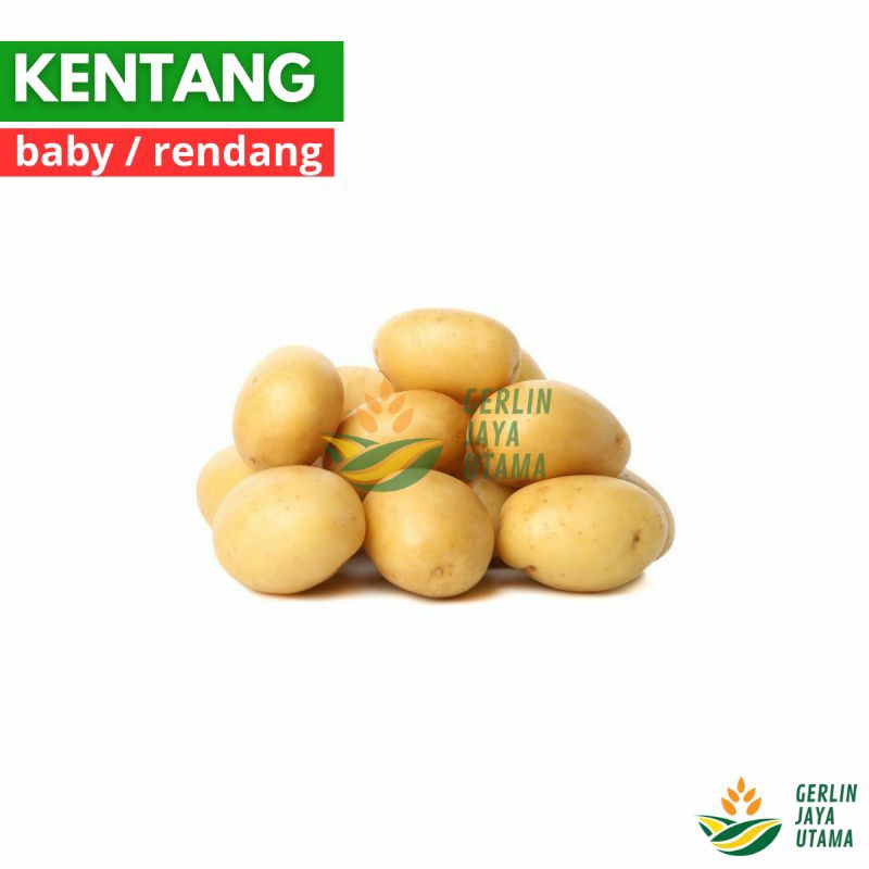 

(1Kg/500Gram/250Gram) Kentang Rendang / Baby Potato Kecil Krill Sayuran Segar Fresh Vegetables Bumbu Bahan Masakan Rasa Penyedap Kuning Kota Dieng Bromo Organik Malang Seperempat Setengah Sekilogram Mini Termurah Super Premium High Lokal Promosi Dapur Pcs