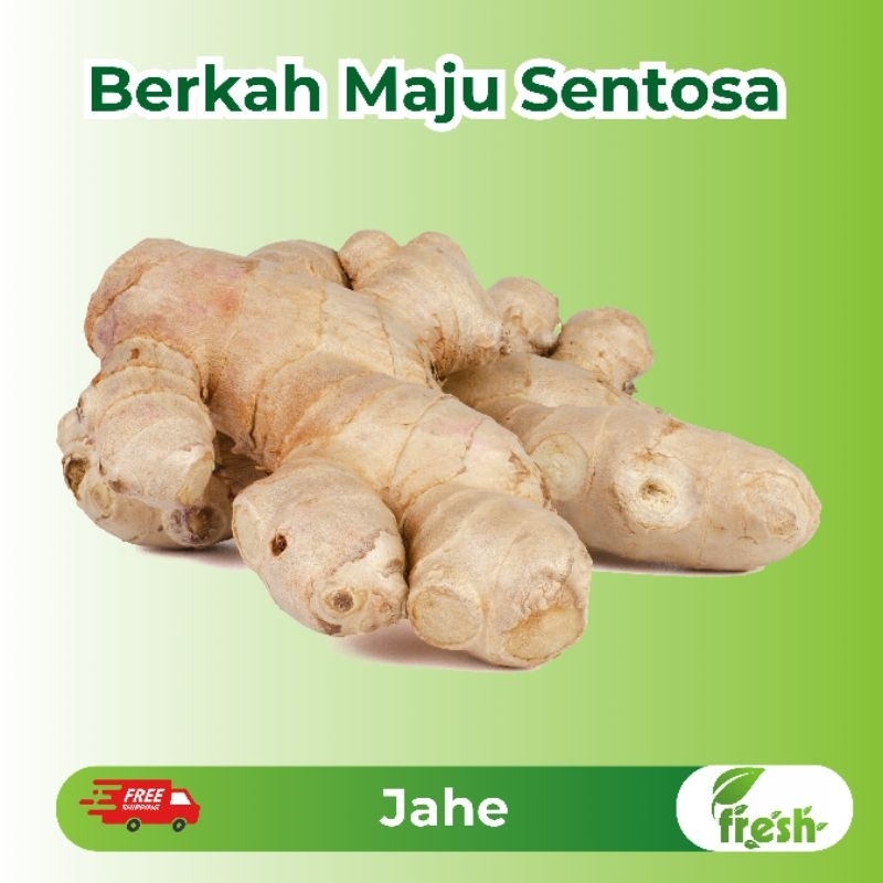 

[INSTANT] Jahe Fresh 250gr,500gr,1kg