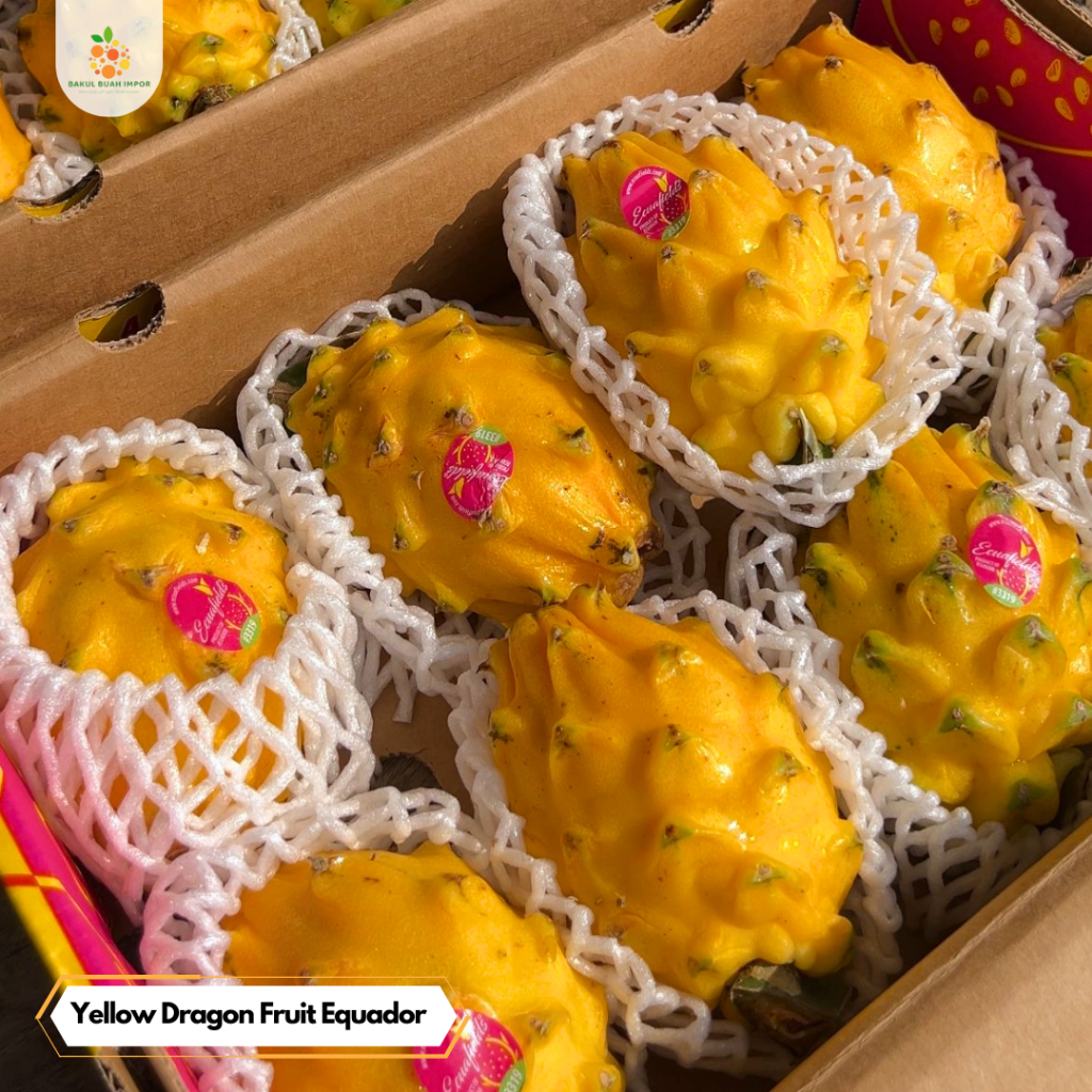 

Yellow Dragon Fruit Equador | Buah Naga Kuning Impor [ @250 Gram]