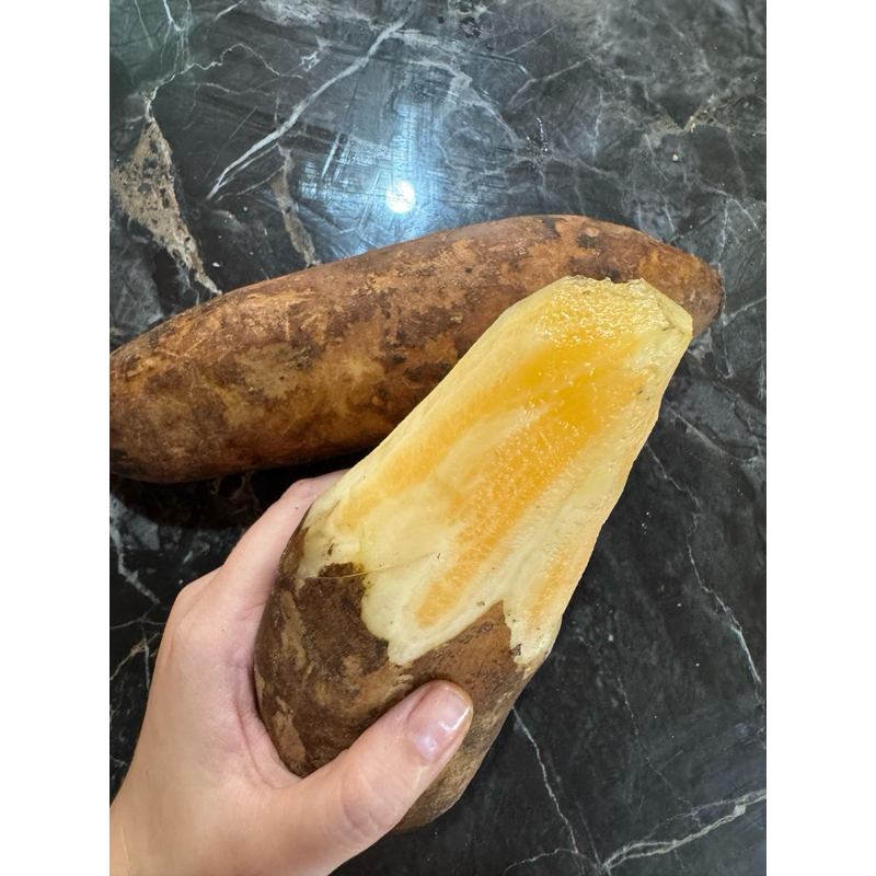 

UBI UMBI YAKON MANIS ASLI WONOSOBO HARGA SESUAI UKURAN