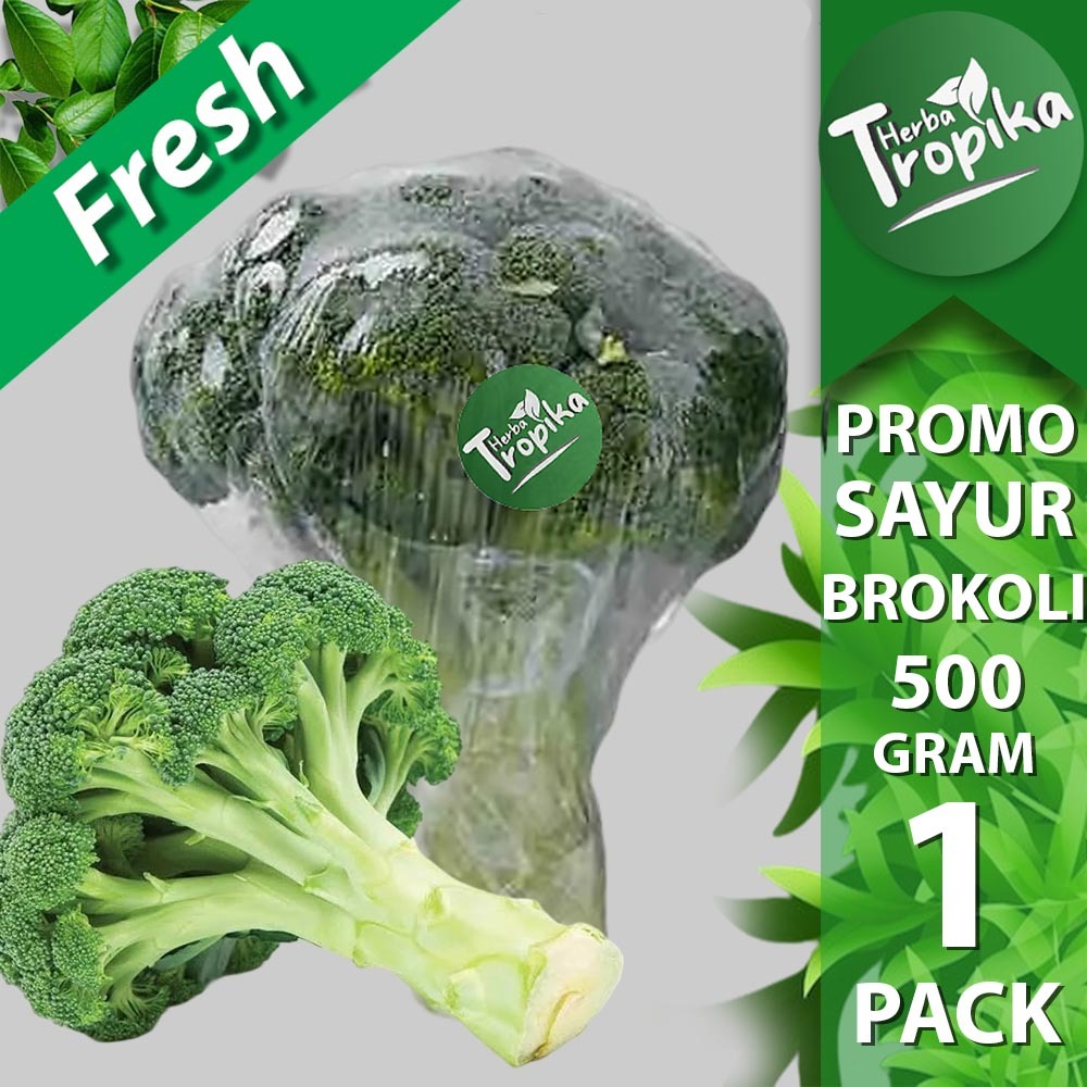 

Promo Sayur Brokoli Fresh 500 gram Dikemas Premium Termurah Toko Herba Tropika