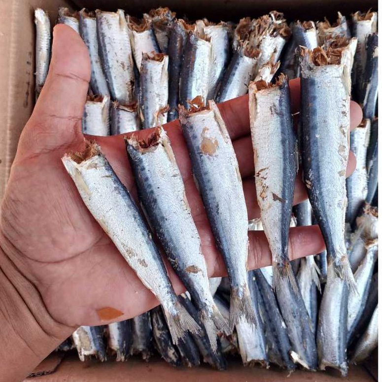 

Ikan asin layang rebus / ikan asin cue klotok pindang kering dencis