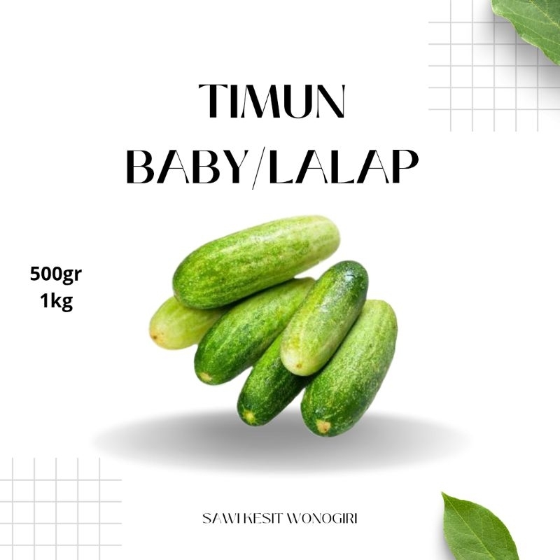 

timun baby/lalap fresh