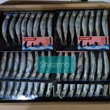 

Ikan Shisamo 8 ekor 200 gr