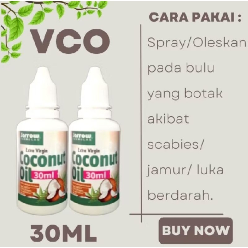 MINYAK VCO | MINYAK KELAPA MURNI