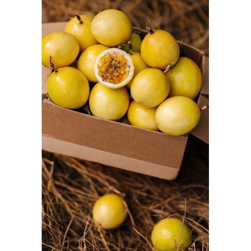 

Buah markisa 1kg segar baru petik/buah markisa manis legit