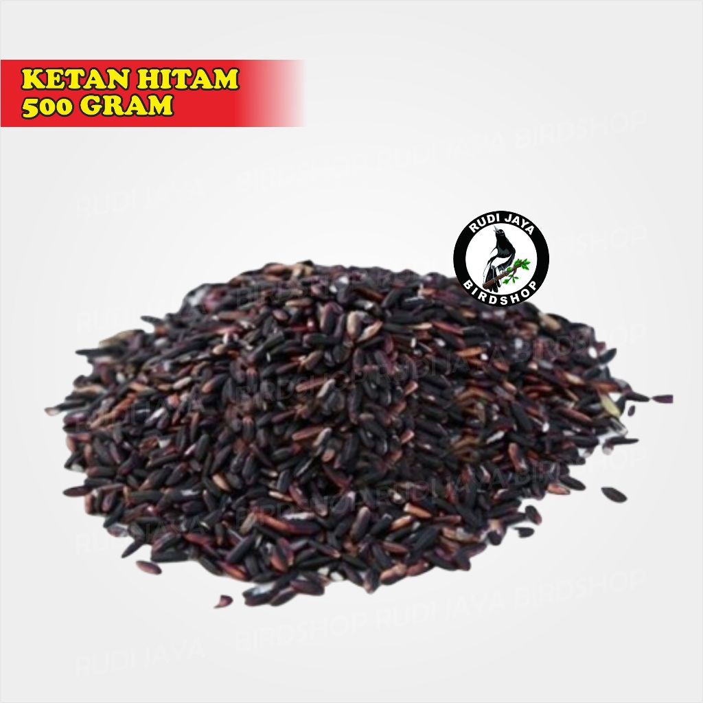 KETAN HITAM 500 GRAM BIJI CAMPURAN PAKAN MAKANAN BURUNG DERKUKU PERKUTUT PUTER PELUNG AYAM BEBEK