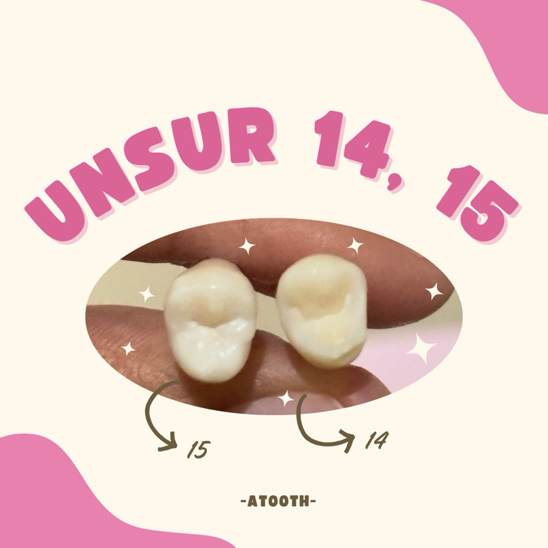 Unsur Gigi Praktikum 14, 15