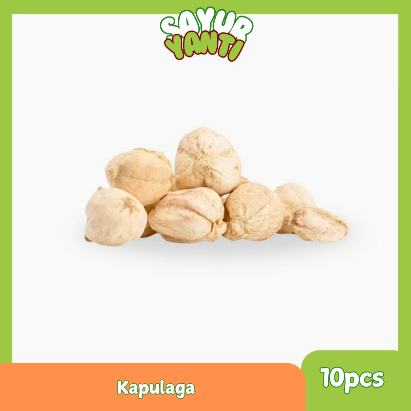 

Kapulaga 10pcs - Sayur Yanti