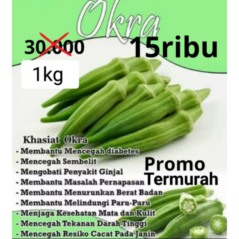 

1kg Okra hijau superfood lokal berkualitas sayuran sehat dan fresh kaya vitamin dan antioksidan tinggi serat dan rendah kalori cocok untuk diet