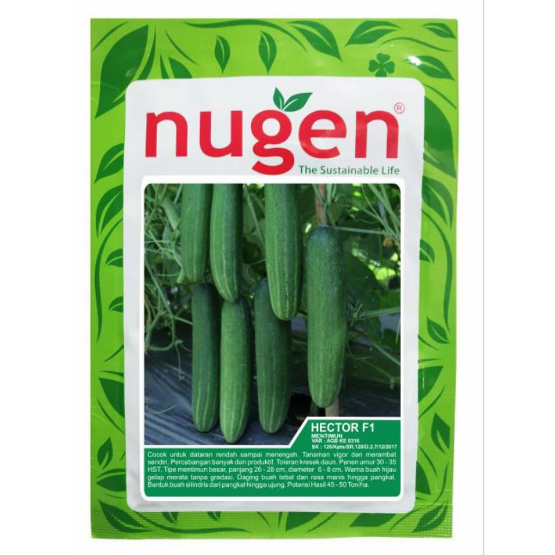 Benih Mentimun Hibrida Nugen Hector F1