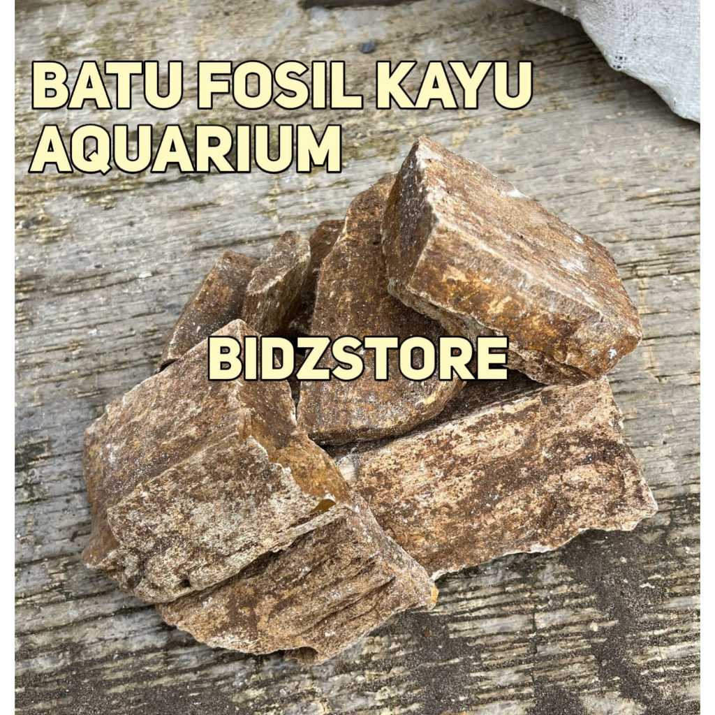 Batu Fosil kayu Aquarium Aquascape 1kg
