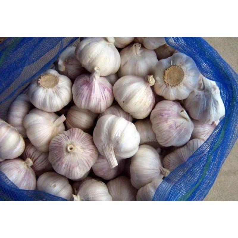 

Bawang Putih Kotor 1kg