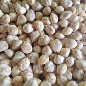 

KEMIRI BULAT 500 gr Kemiri Fresh