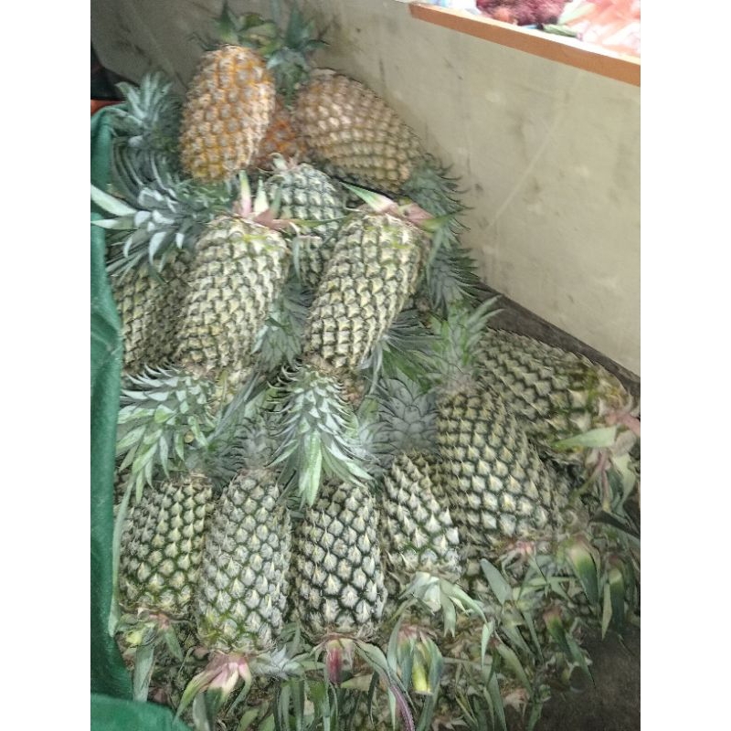 

nanas besar palembang 1 pcs