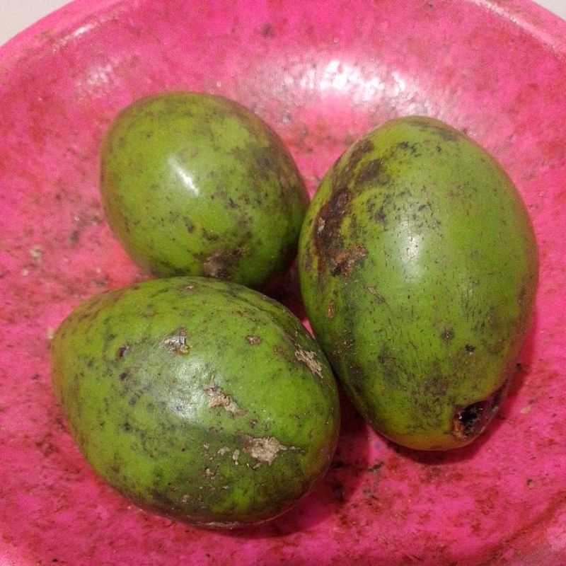 

BUAH KEDONDONG FRESH 3PCS