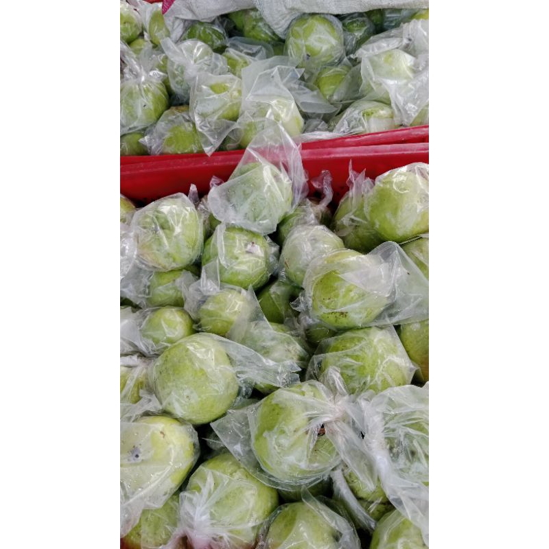 

Paket Hemat 3kg ukuran apel malang (21 biji)