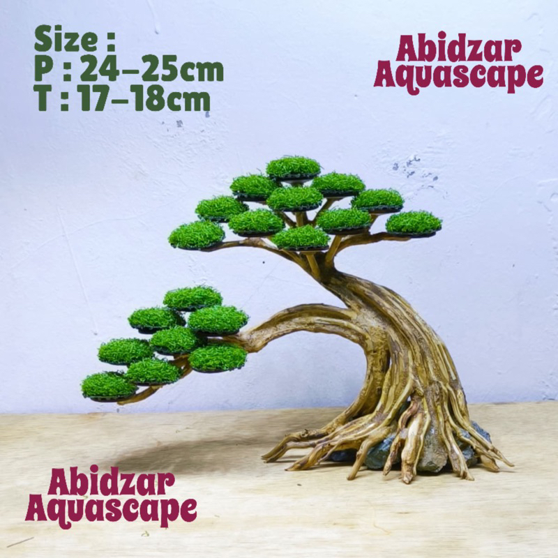 Hiasan aquarium tanaman bonsai, bonsai aquarium, dekorasi aquarium tanaman bonsai, pohon bonsai aqua