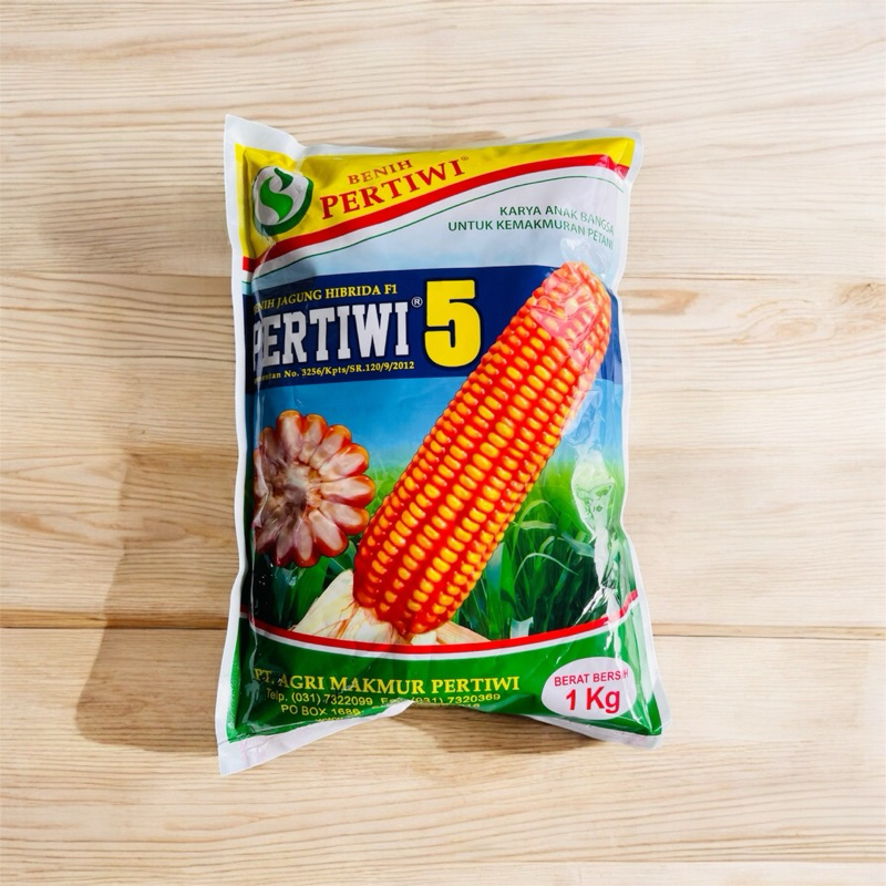BENIH JAGUNG HIBRIDA F1 PERTIWI 5 BENIH PERTIWI