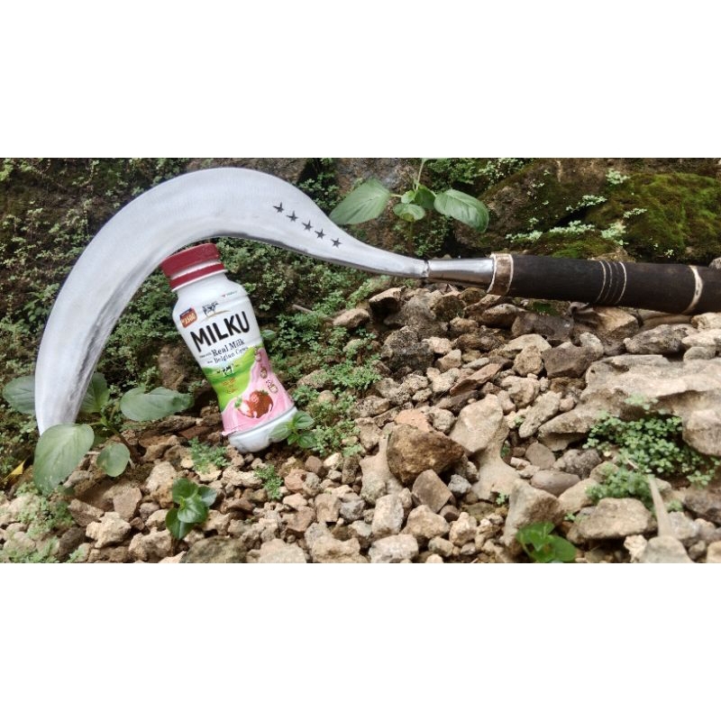 

minuman milku/madura ⭐⭐⭐⭐⭐