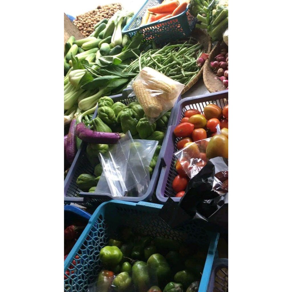 

Plastik Sayur Berkulitas Kode K