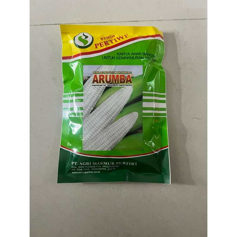 Benih jagung putih pulut manis ARUMBA produksi benih pertiwi jagung pulut putih manis