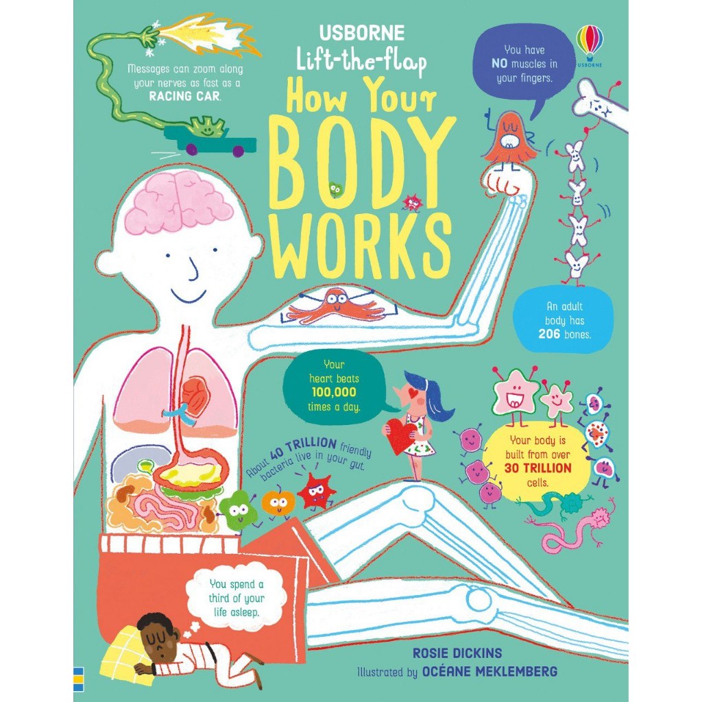 USBORNE LIFT THE FLAP HOW YOUR BODY WORKS