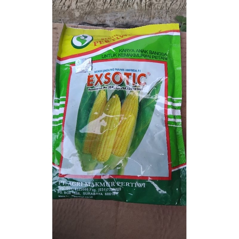 

bibit jagung manis exotic 250gr